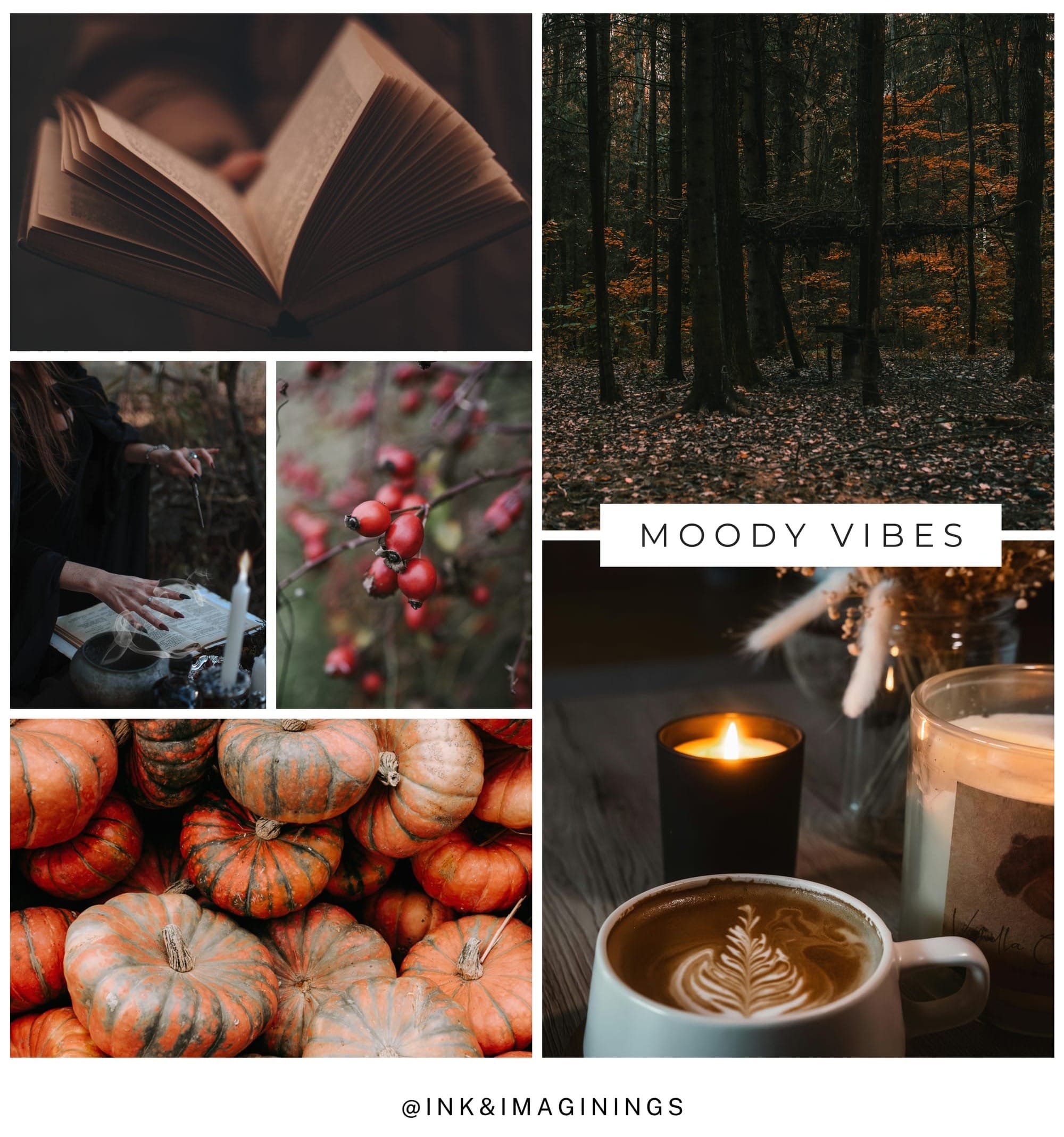 Cozy Witchy Reads for Fall