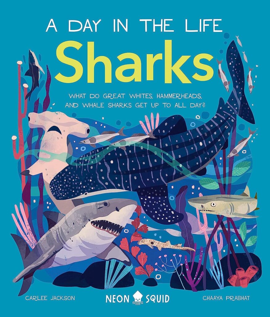 A Day in the Life: Sharks, book cover