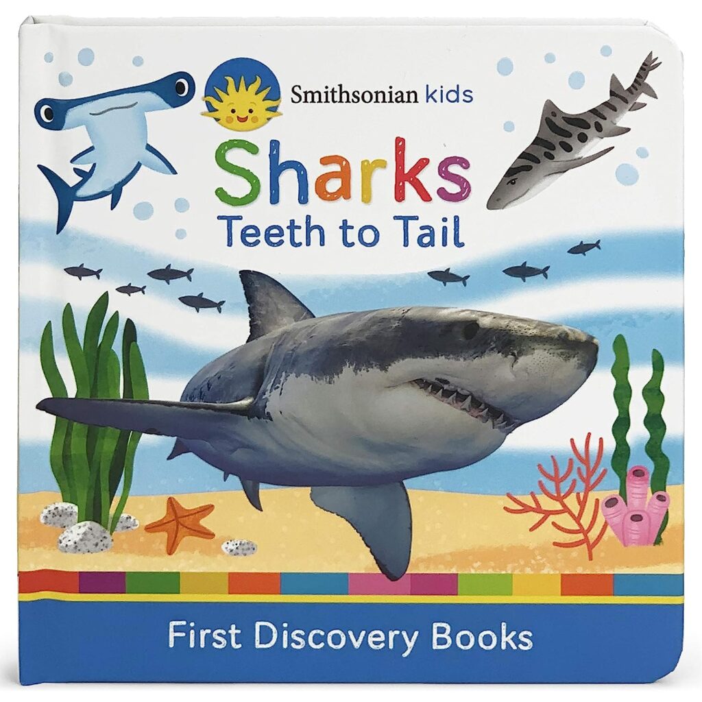 Sharks: Teeth to tail book cover